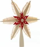 Baumschmuck - Christbaumspitze Spanstern Mitte mit Kiefernstern (Beidseitig) Rot - BxHxT 20x21x3cm